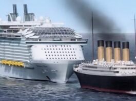 What Is a Corkage Fee on a Cruise?