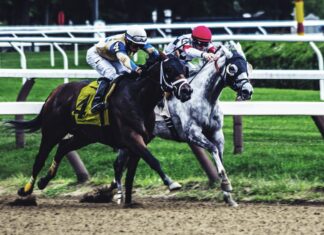 Five Horse Betting Tips To Be A Pro