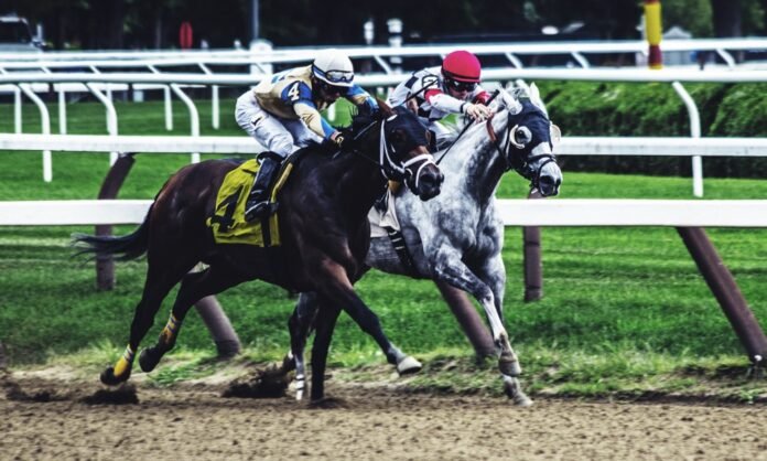 Five Horse Betting Tips To Be A Pro